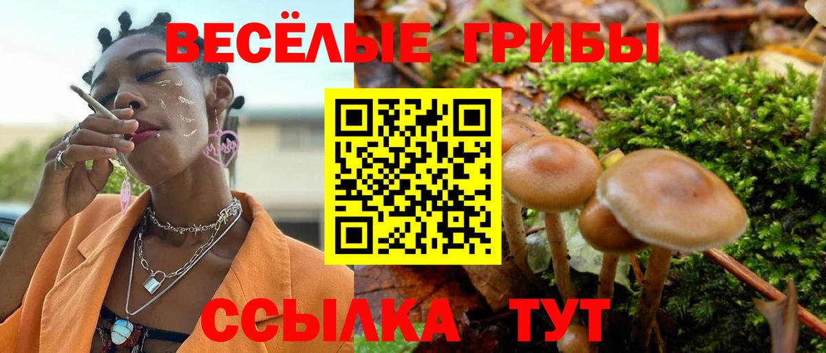 Галлюциногенные грибы MAGIC MUSHROOMS Топки